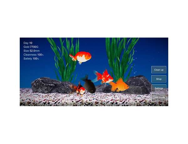 Goldfish for Android - Download the APK from Habererciyes